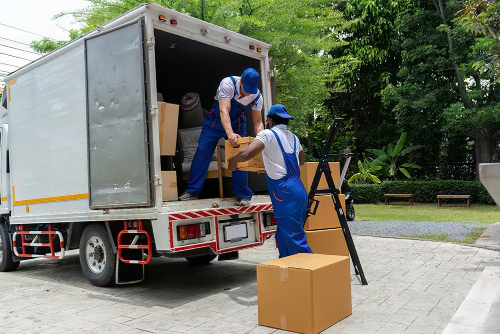 DD Packers and Movers team loading boxes into a truck